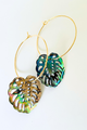 Abalone Gold